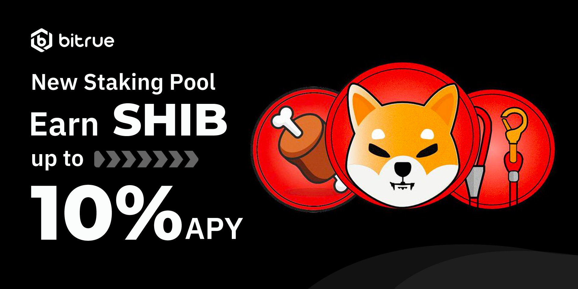 Bitrue on X: 🔥 New listing $LEASH is coming to #Bitrue spot trading  @Shibtoken 🔹 Deposit NOW 👉  🔹 LEASH/USDT pair 🔹  Trading starts at 10:00 UTC, 12nd July Details:  #