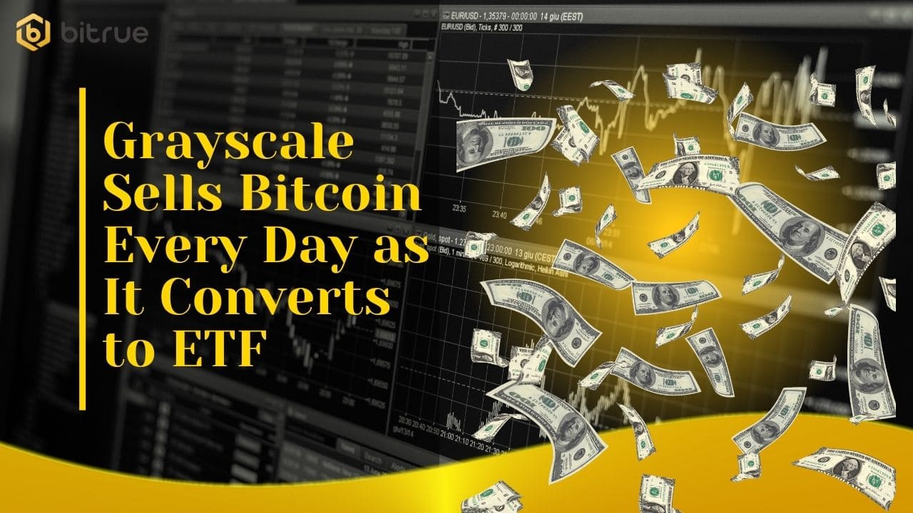 Grayscale Sells Bitcoin Every Day as It Converts to ETF – Bitrue FAQ