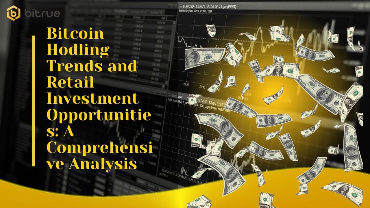 Bitcoin Hodling Trends and Retail Investment Opportunities: A Comprehensive  Analysis – Bitrue FAQ
