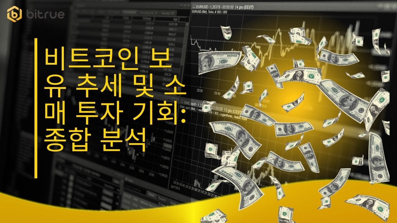 비트코인 보유 추세 및 소매 투자 기회 종합 분석 (1).jpg