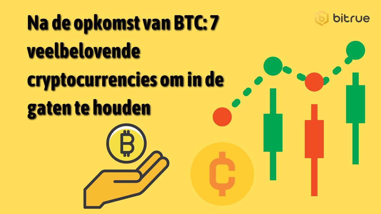 Na de opkomst van BTC 7 veelbelovende cryptocurrencies om in de gaten te houden (1).jpg