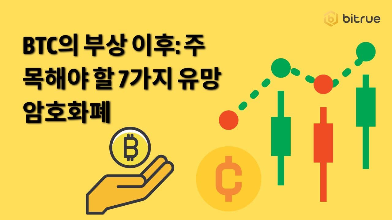 BTC의 부상 이후 주목해야 할 7가지 유망 암호화폐 (1).jpg