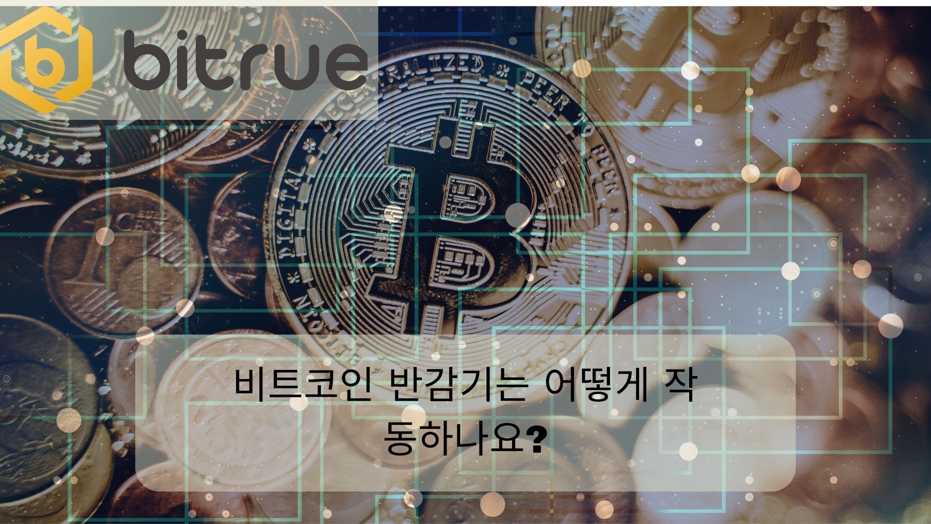 비트코인 반감기는 어떻게 작동하나요.jpg