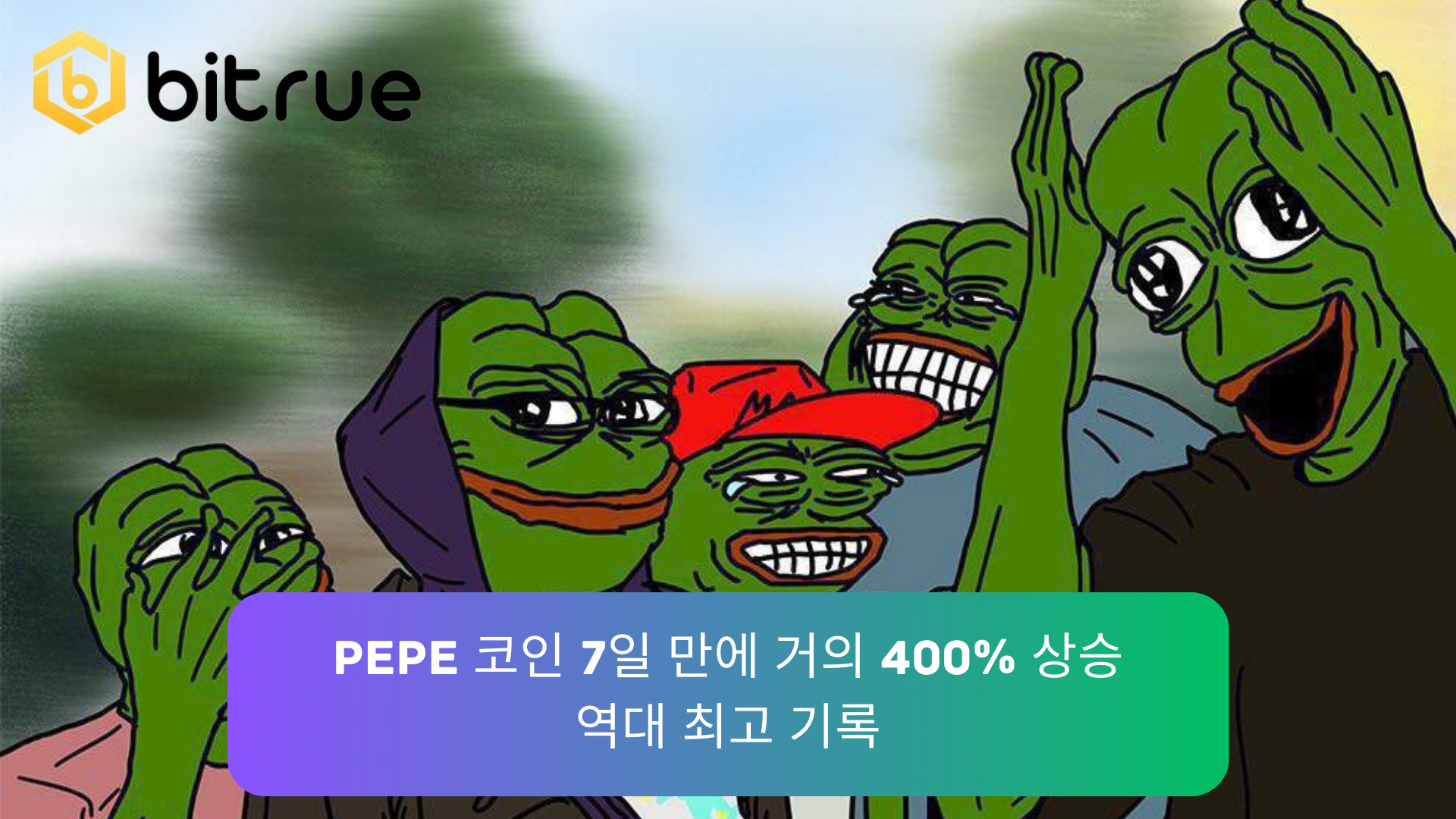 PEPE 코인 7일 만에 거의 400% 상승, 역대 최고 기록 – Bitrue FAQ