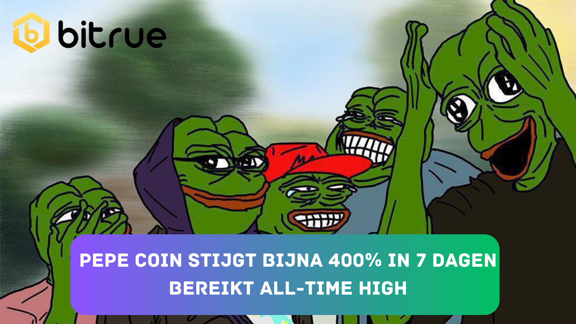 F (8).png