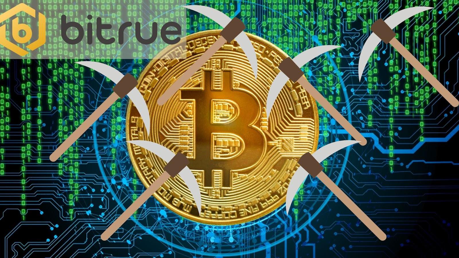 비트코인 채굴자의 수입이 역대 최고에 가까워지고 있습니다! 여전히 판매하지 않고 있음 – Bitrue FAQ