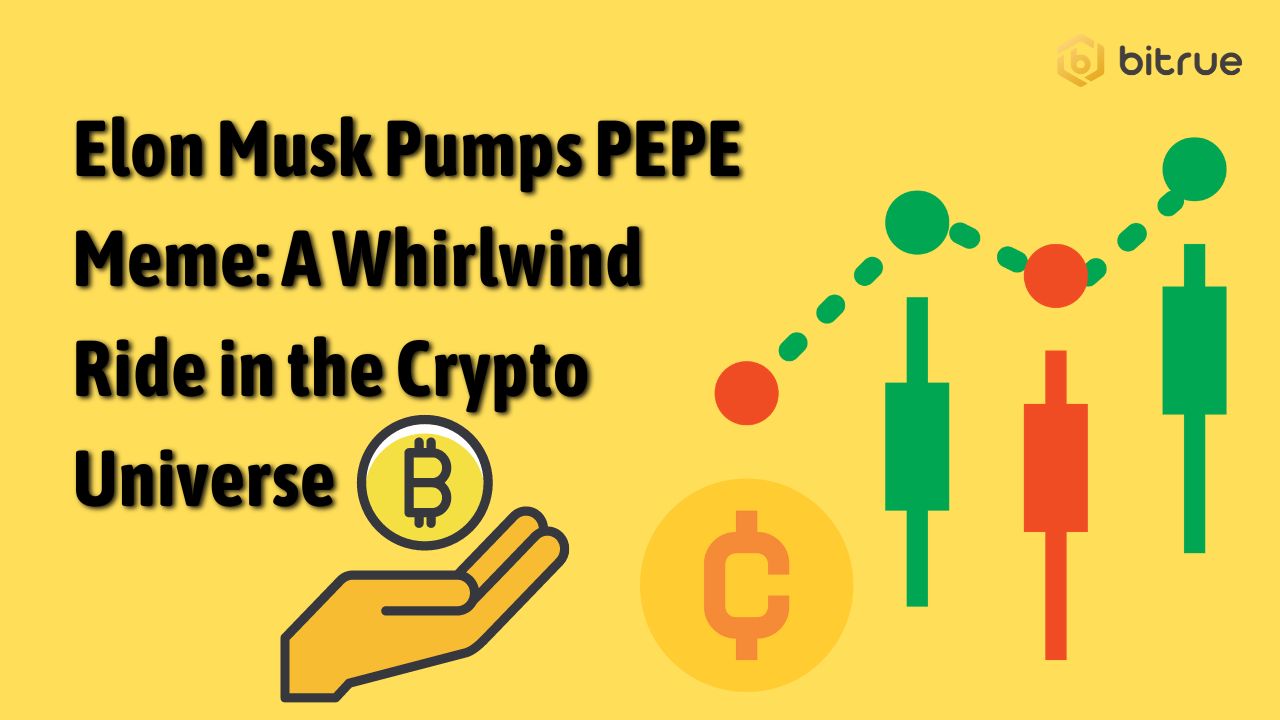 Elon Musk Pumps PEPE Meme: A Whirlwind Ride in the Crypto Universe – Bitrue  FAQ