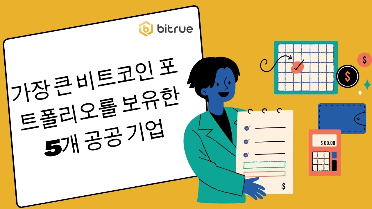가장 큰 비트코인 ​​포트폴리오를 보유한 5개 공공 기업 – Bitrue FAQ