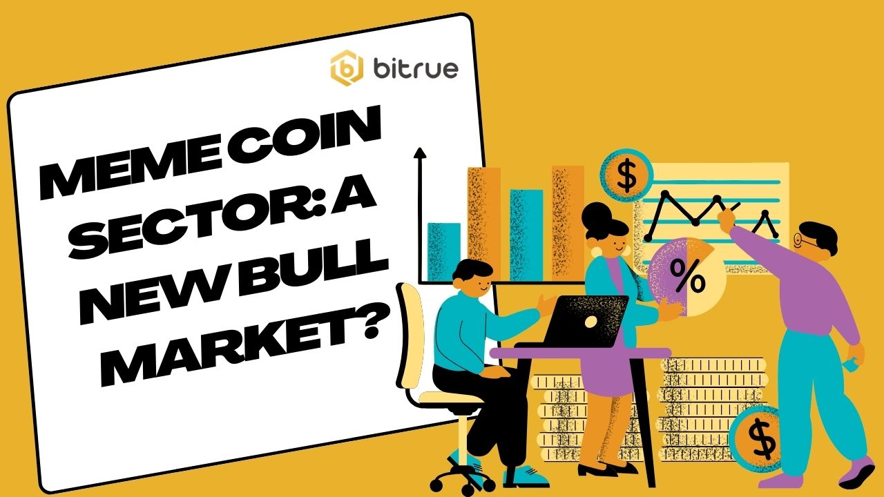Meme Coin Sector A New Bull Market.jpg