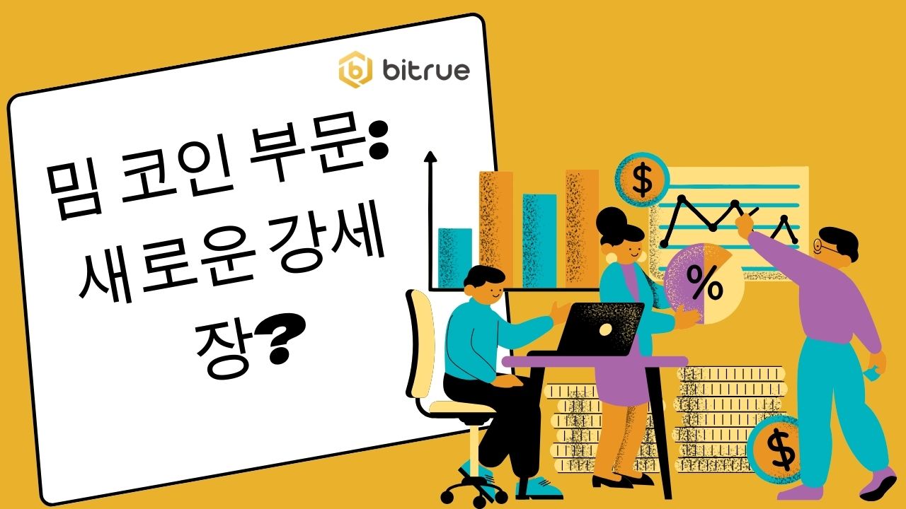 밈 코인 부문: 새로운 강세장? – Bitrue FAQ