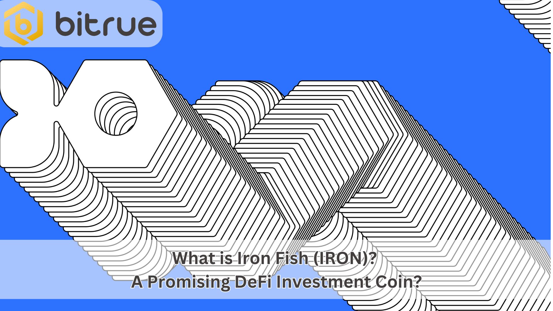 What is Iron Fish (IRON)? A Promising DeFi Investment Coin? – Bitrue FAQ