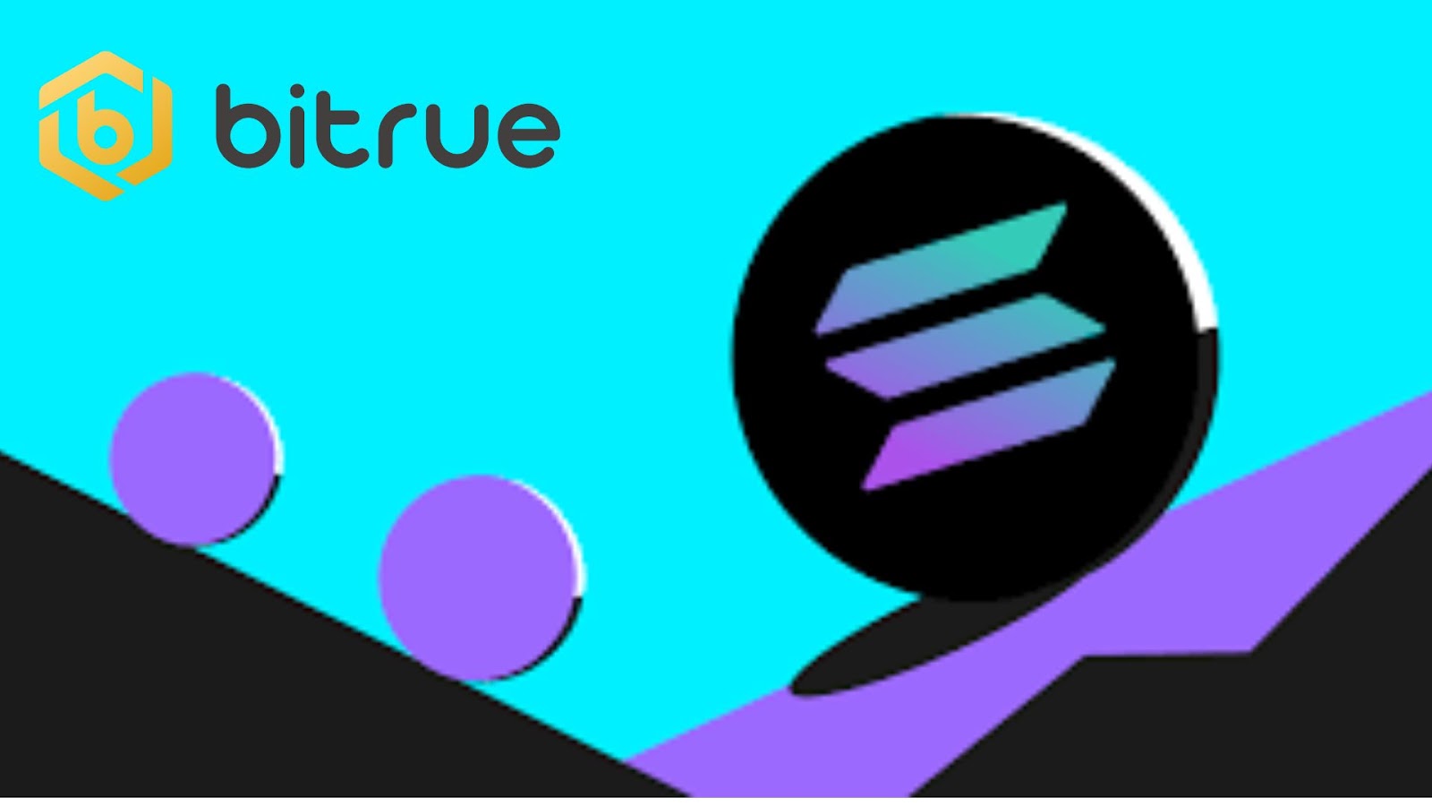 솔라나 생태계의 토큰: 급증세 경험 – Bitrue FAQ