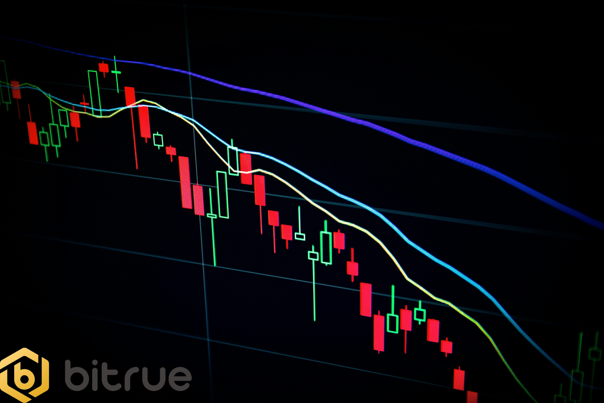 Exploring the Multichain XRP Ledger (XRPL) Ecosystem – Bitrue FAQ