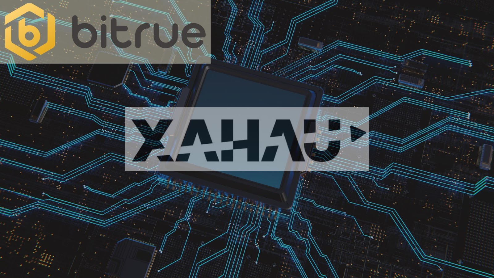 사이드 체인이란 무엇인가요? XRP의 인기 있는 사이드 체인 살펴보기 – Bitrue FAQ