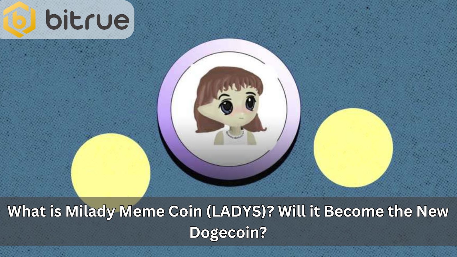 What is Milady Meme Coin LADYS Will it Become the New Dogecoin