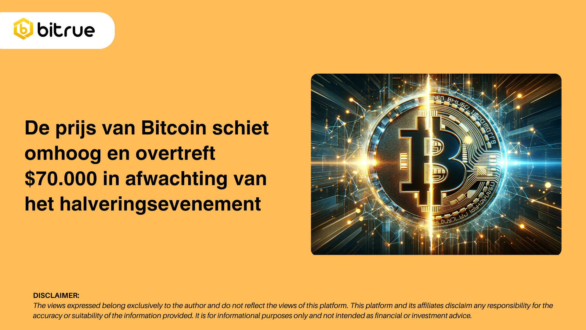 bitcoin halving nl.png