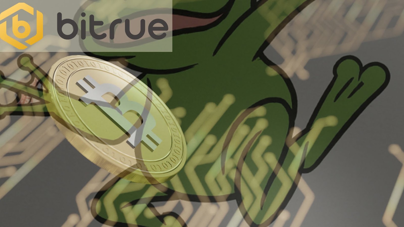 Does PEPE Move Up with Bitcoin? Quick Analysis on How Meme Coins Move –  Bitrue FAQ