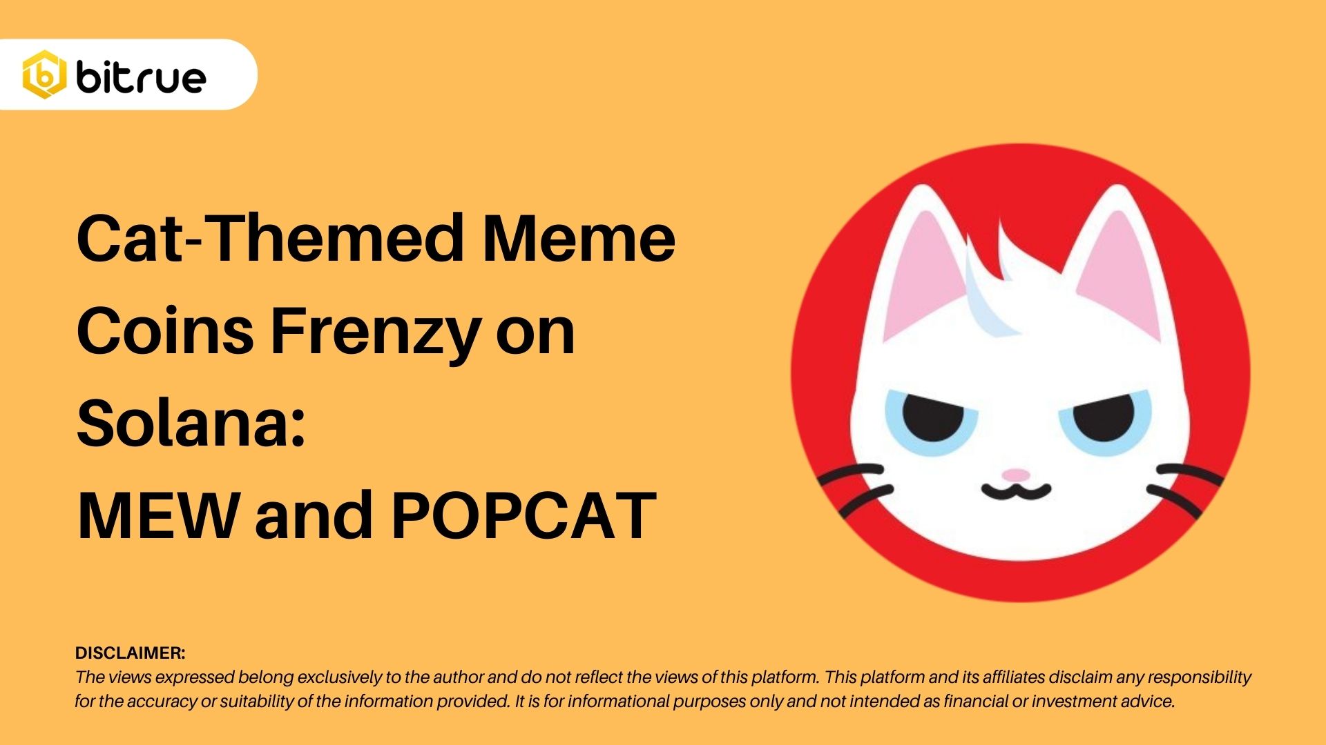 Cat Themed Meme Coins Frenzy on Solana MEW and POPCAT Bitrue FAQ