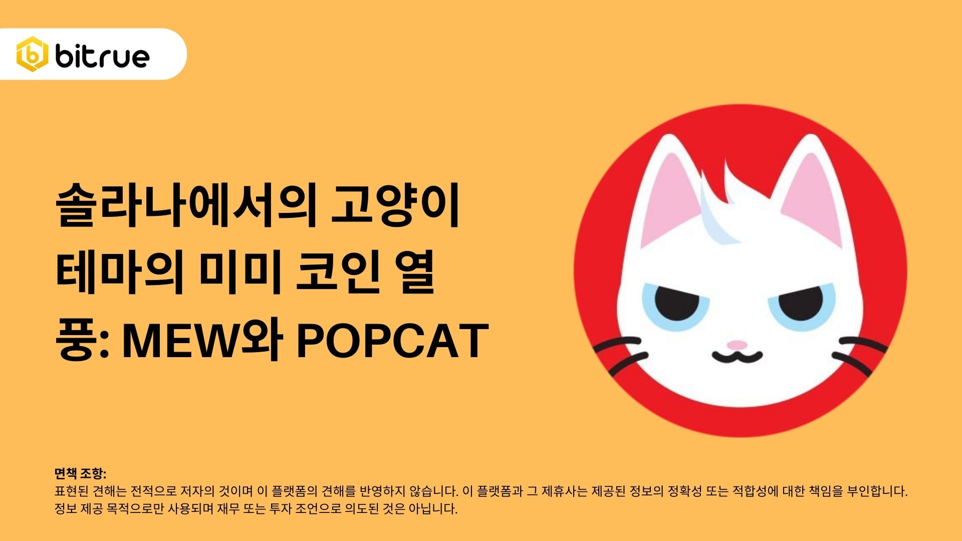 솔라나에서의 고양이 테마의 미미 코인 열풍: MEW와 POPCAT – Bitrue FAQ