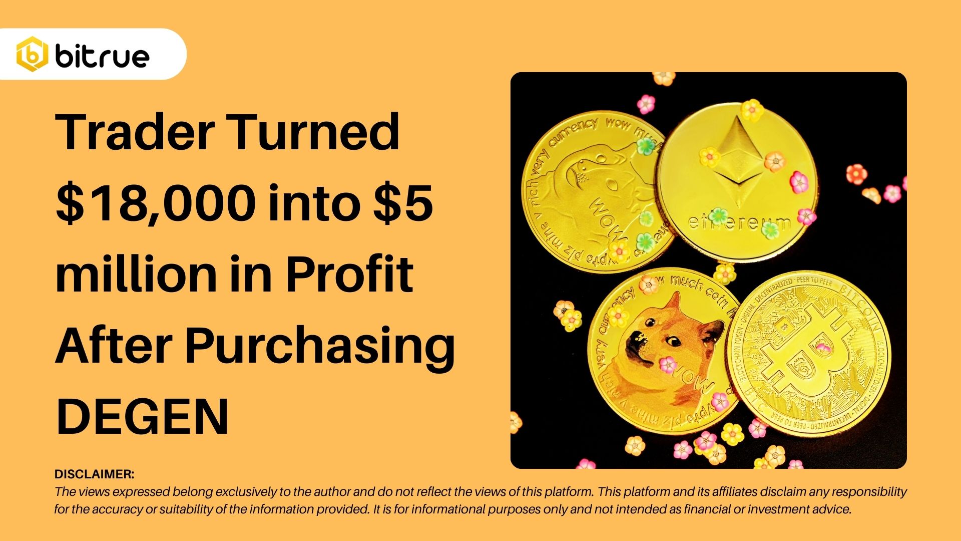 Trader Turned $18,000 into $5 million in Profit After Purchasing DEGEN –  Bitrue FAQ
