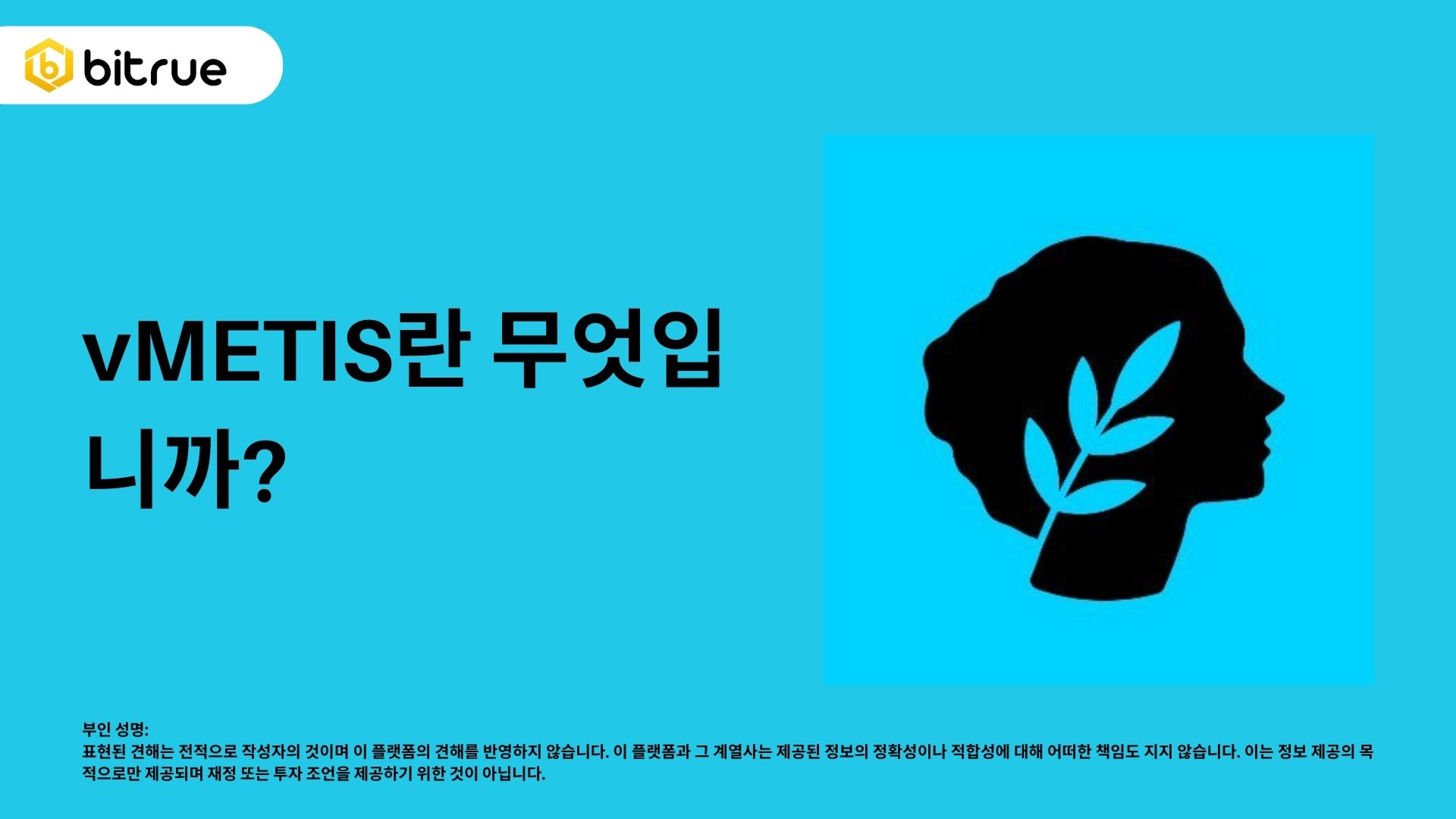 vMETIS란 무엇인가? 메티스 블록체인 생태계 살펴보기 – Bitrue FAQ