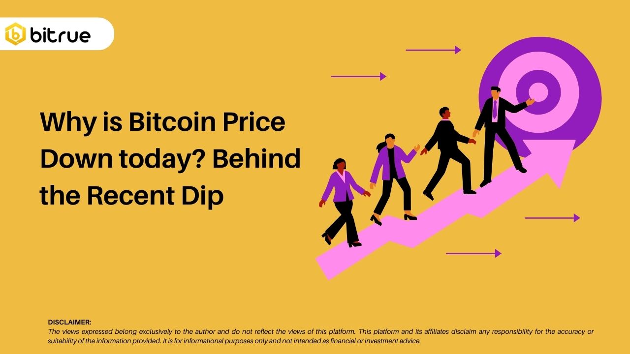 Why is Bitcoin Price Down today? Behind the Recent Dip – Bitrue FAQ