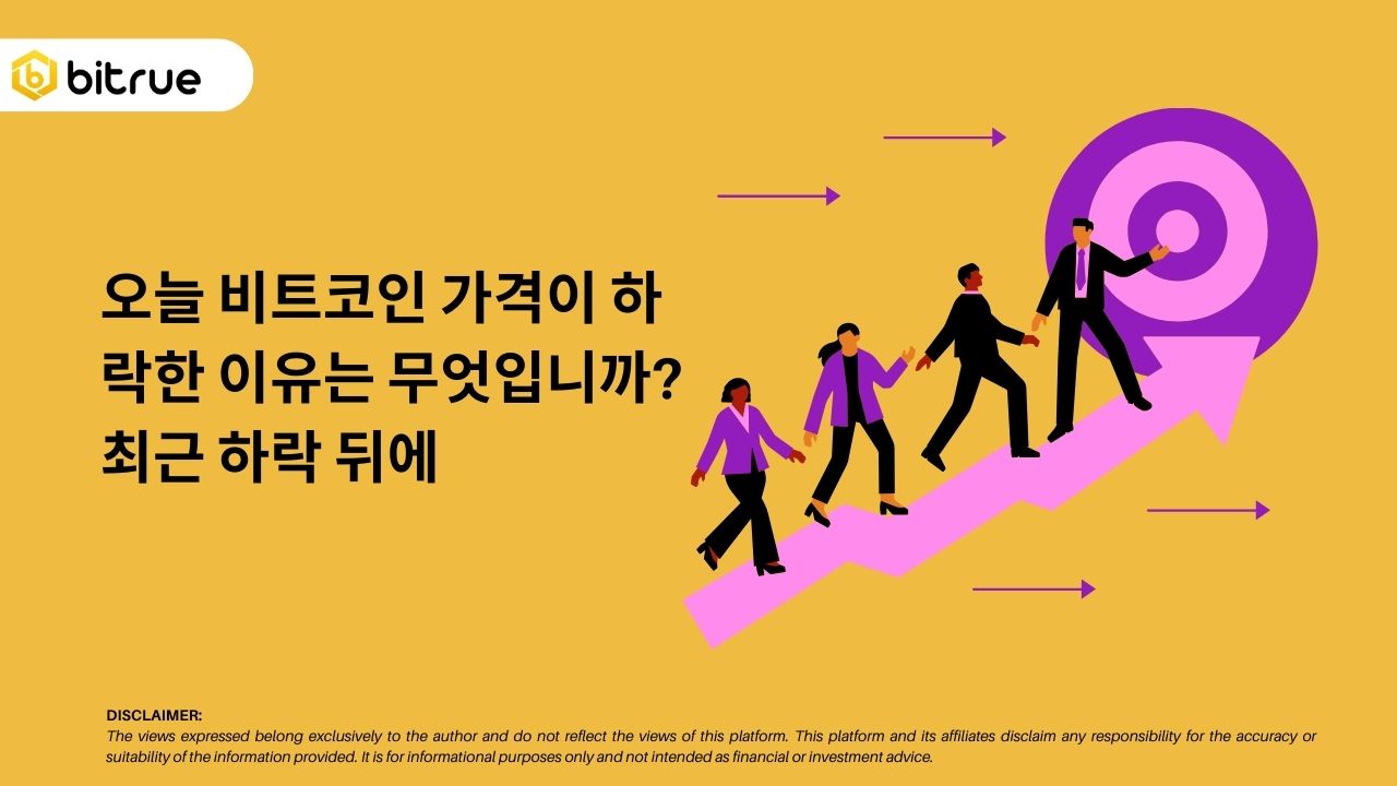 오늘 비트코인 ​​가격이 하락한 이유는 무엇입니까? 최근 하락 뒤에 – Bitrue FAQ
