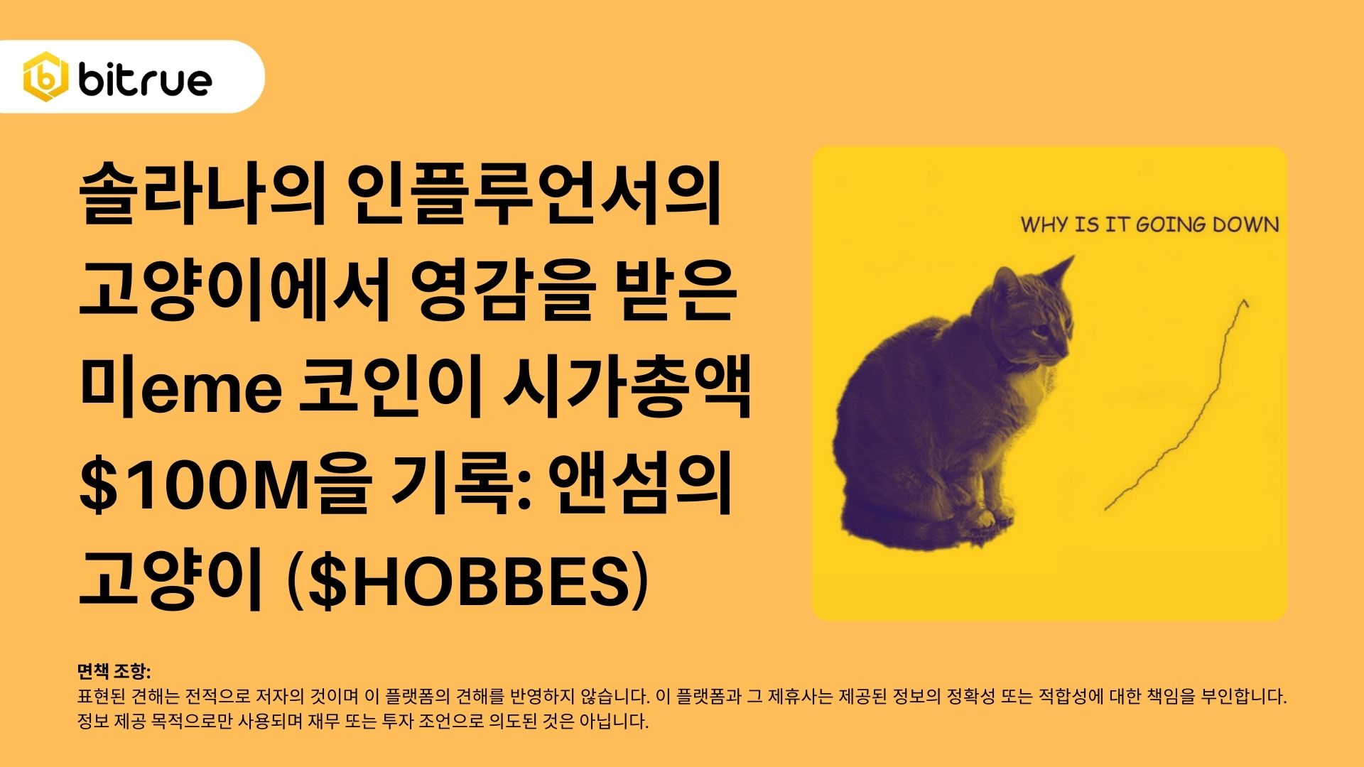 솔라나의 인플루언서의 고양이에서 영감을 받은 미eme 코인이 시가총액 $100M을 기록: 앤섬의 고양이 ($HOBBES) –  Bitrue FAQ