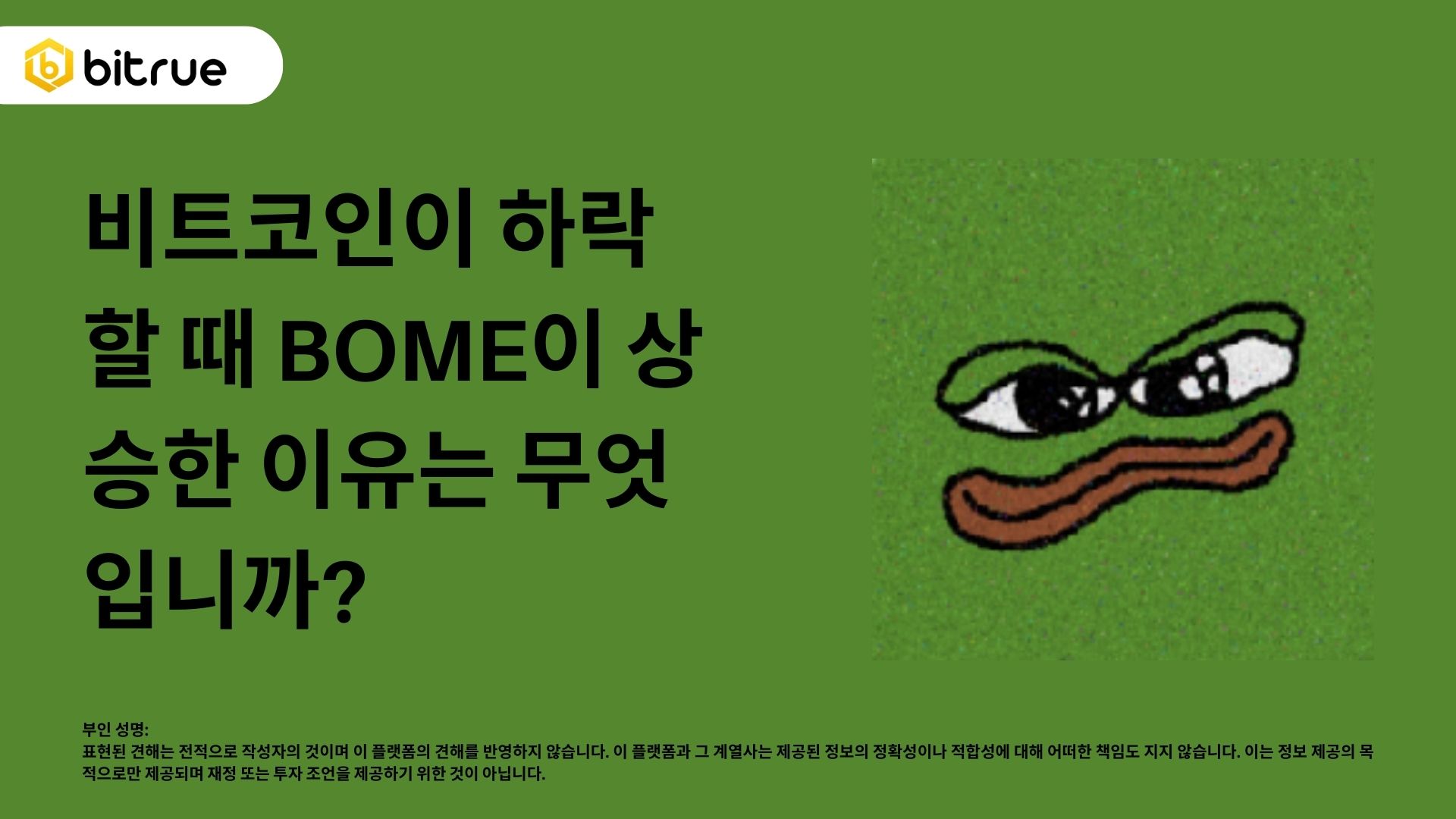 왜 비트코인이 하락하는 동안 북 오브 미미가 상승했을까? BOME 거래 데이터 살펴보기 – Bitrue FAQ