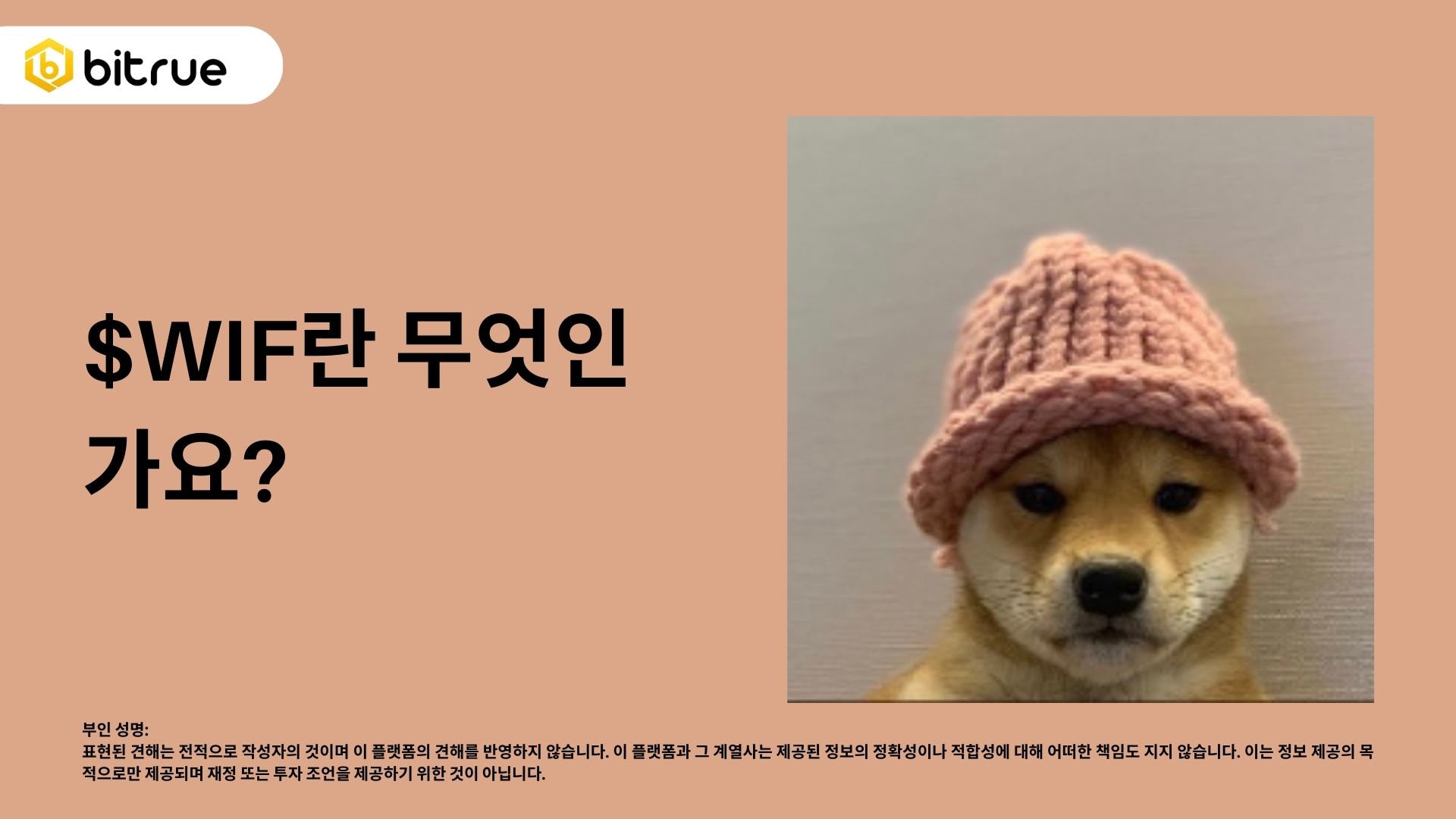 솔라나(Solana)의 인기 있는 미미 토큰 탐색: $WIF – Bitrue FAQ