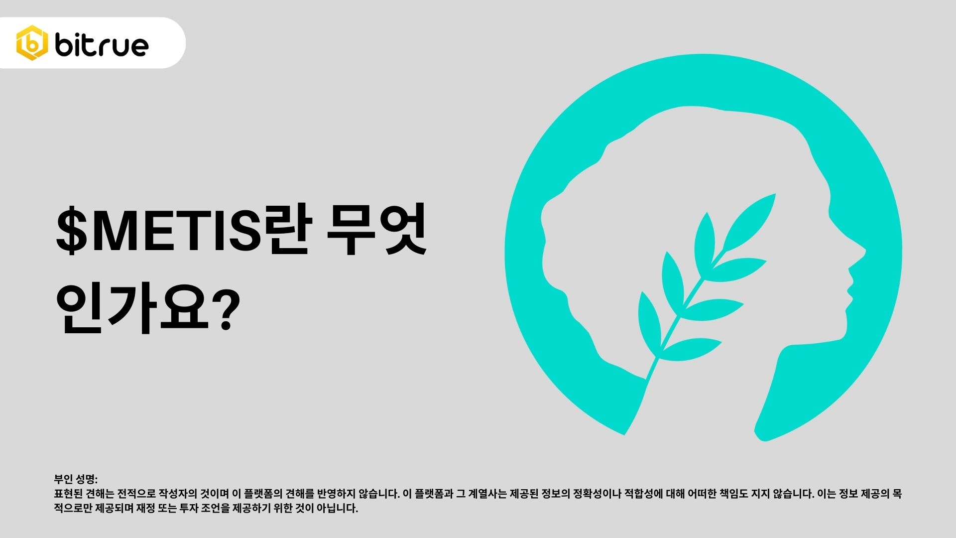 Metis 블록체인: 이더리움 생태계의 새로운 Layer Two 프로젝트 – Bitrue FAQ