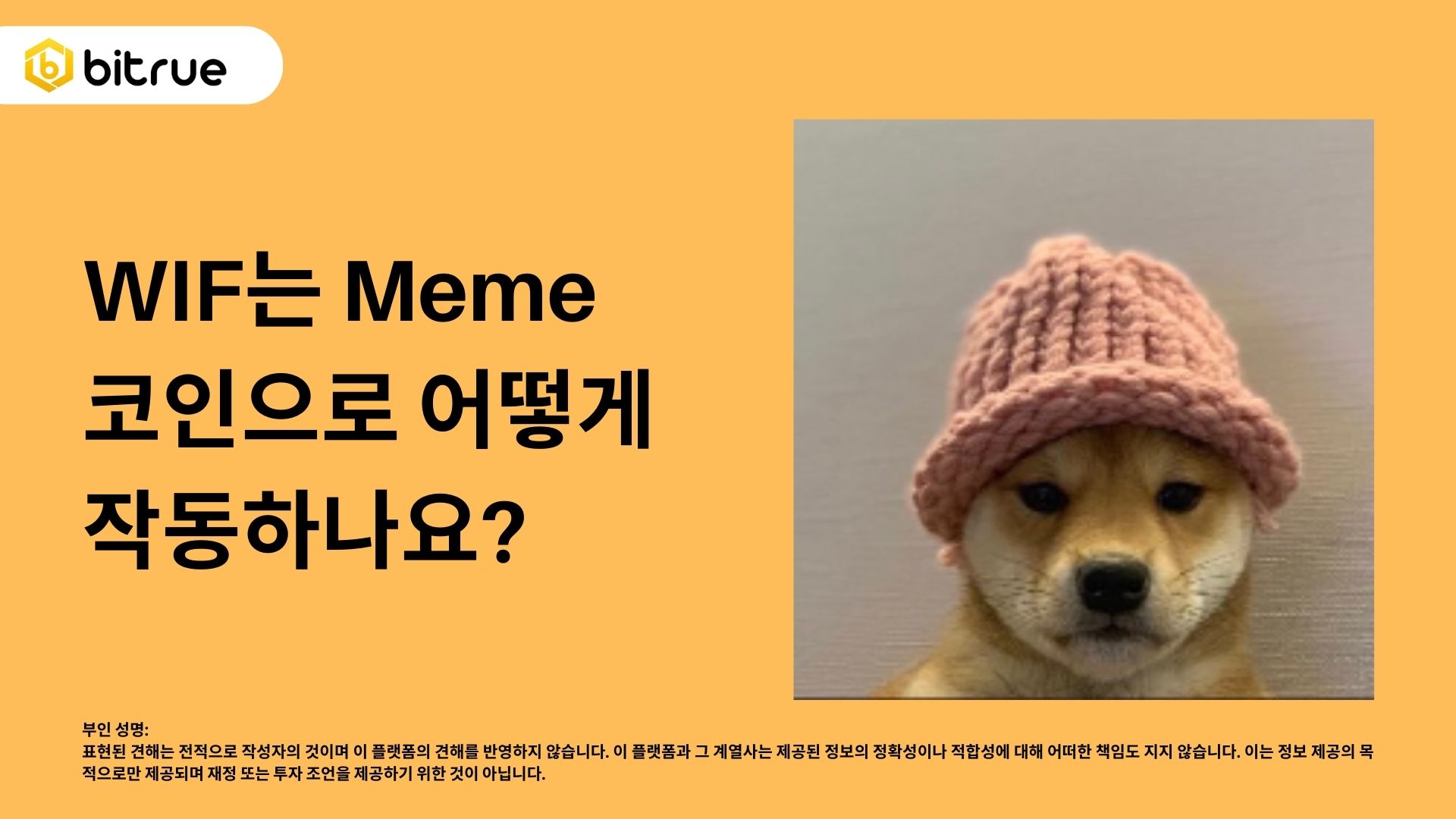 WIF가 메타버스 코인으로 어떻게 작동하는가? – Bitrue FAQ