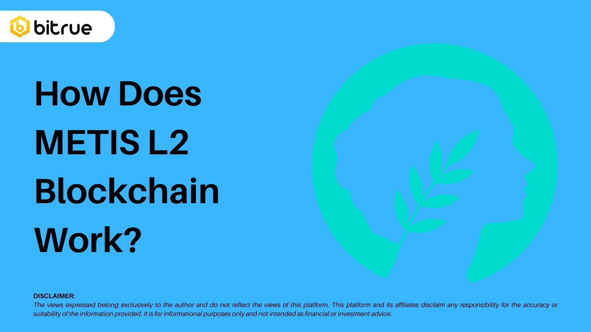 How Does the Metis L2 Blockchain Work? – Bitrue FAQ