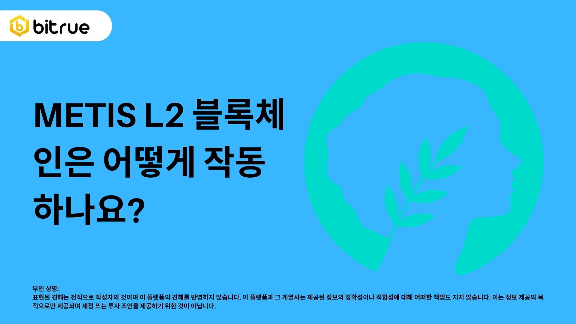 메티스 L2 블록체인은 어떻게 작동합니까? – Bitrue FAQ
