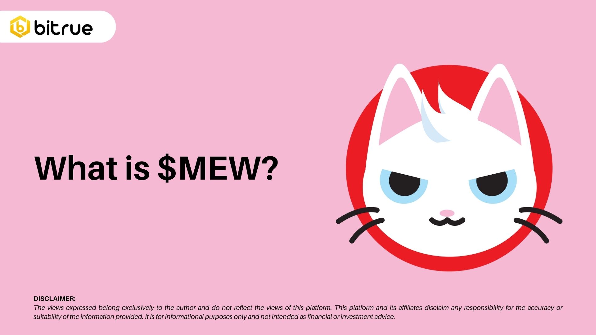 What is $MEW? Looking at Popular Meme Coins on Solana – Bitrue FAQ