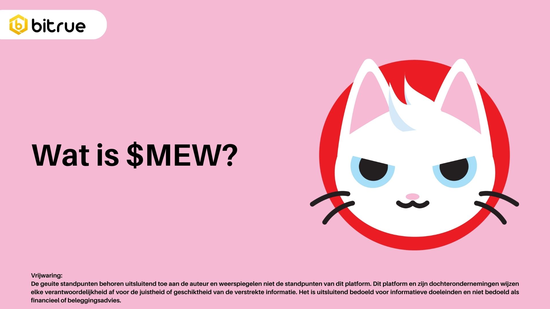 MEW - Een Opkomende Meme Coin op Solana – Bitrue FAQ