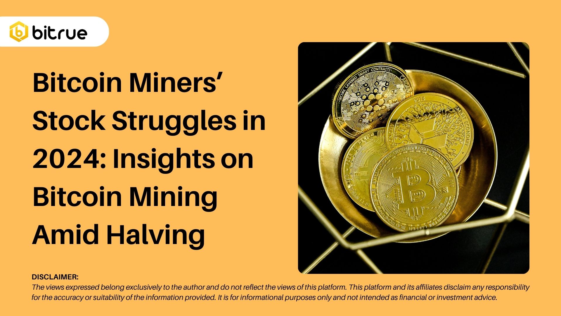 Bitcoin Miners Stock Struggles In 2024 Insights On Bitcoin Mining