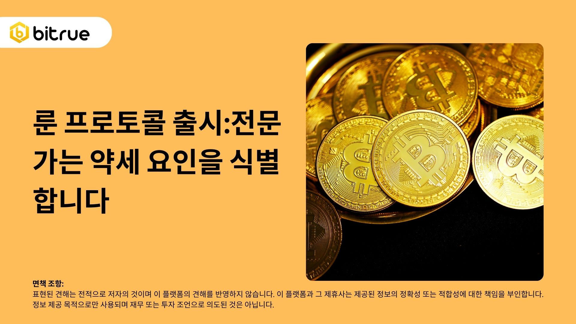 룬 프로토콜 출시:전문가는 약세 요인을 식별합니다 – Bitrue FAQ