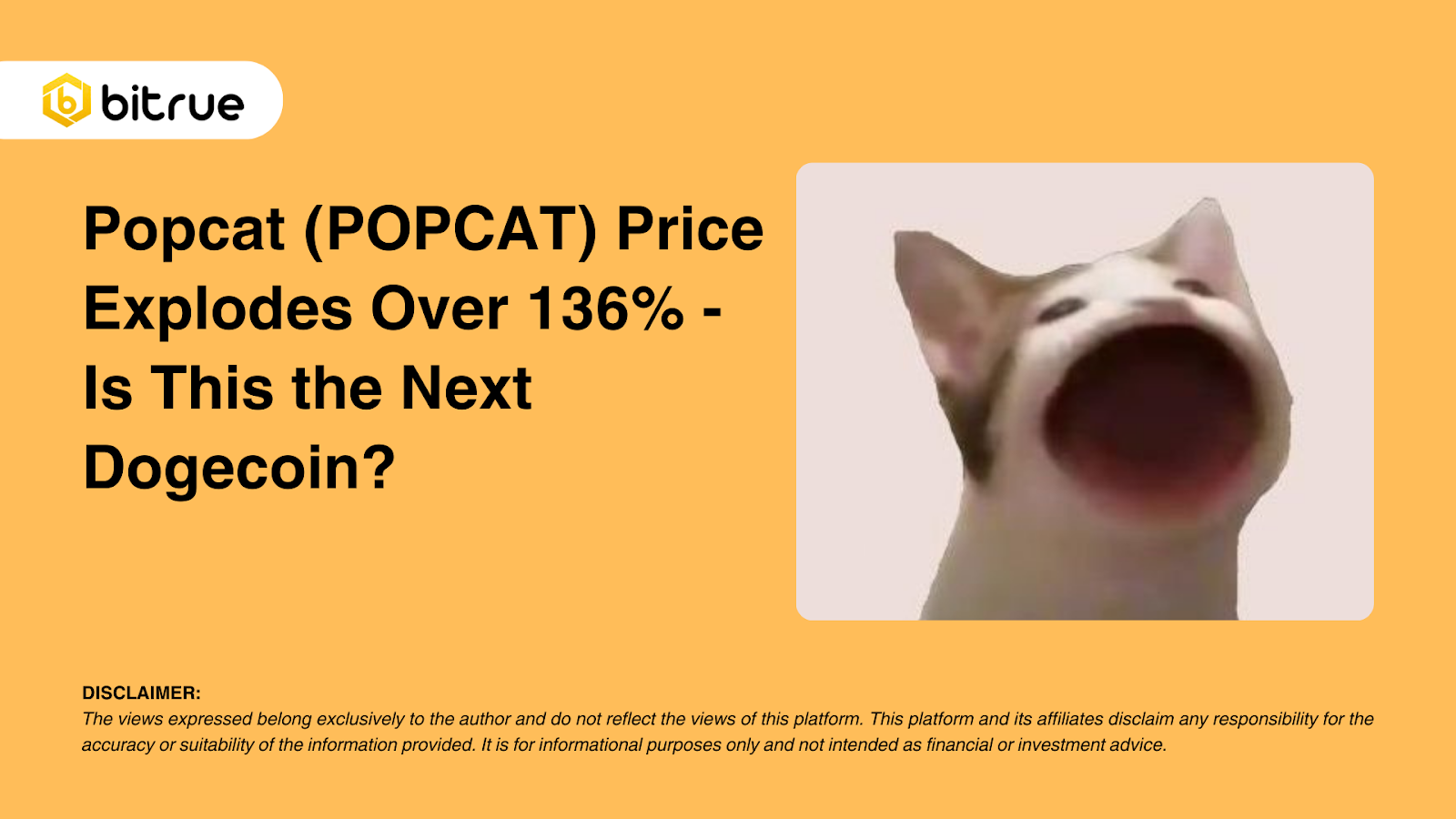 팝캣 (POPCAT) 가격이 136% 이상 폭등 - 다음 도지코인일까요? – Bitrue FAQ