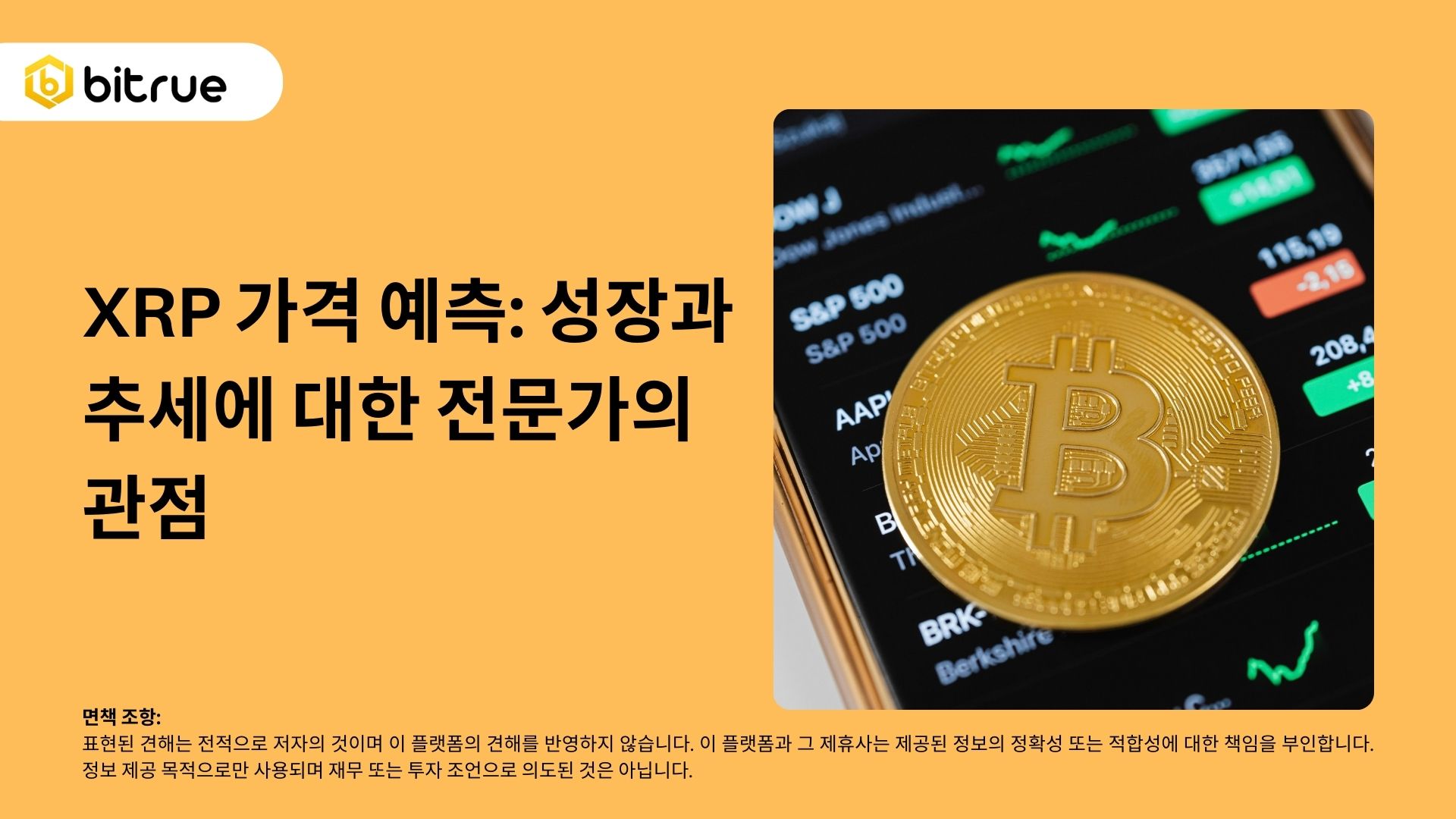 XRP 가격 예측: 성장과 추세에 대한 전문가의 관점 – Bitrue FAQ