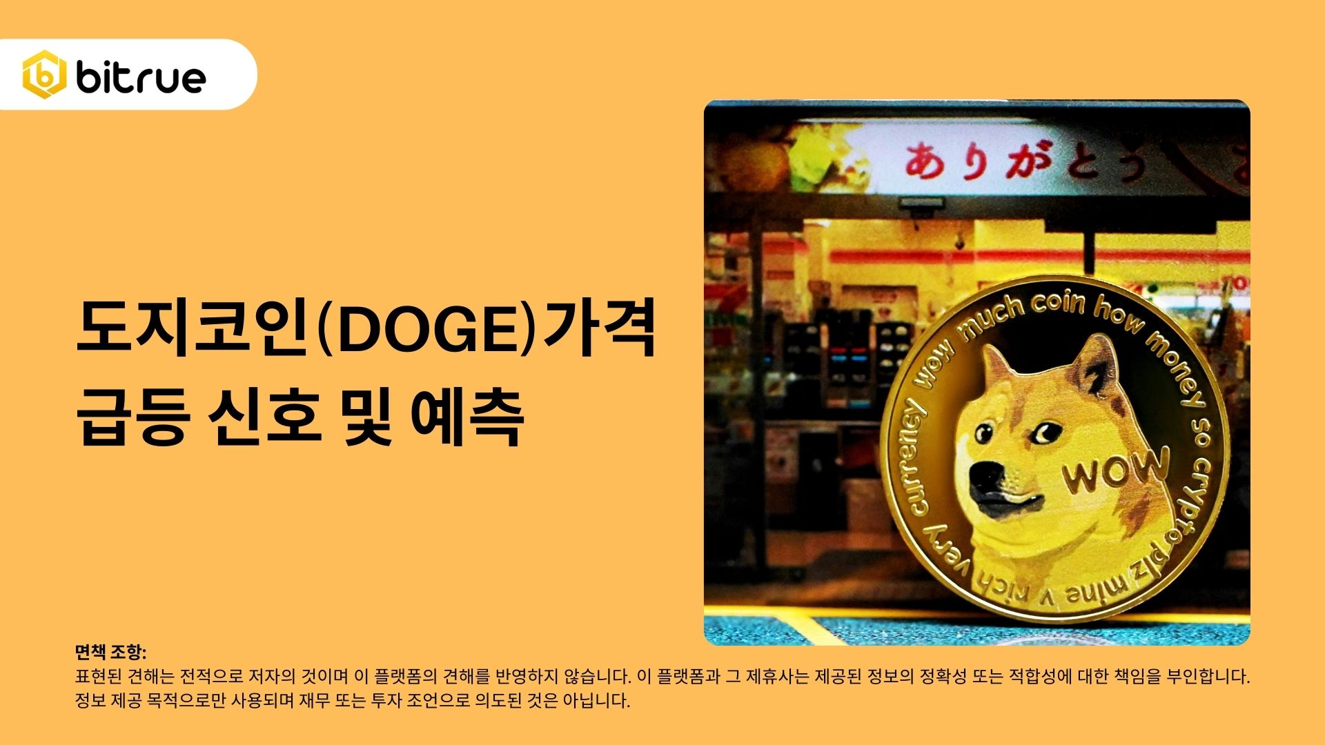 도지코인(DOGE)가격 급등 신호 및 예측 – Bitrue FAQ