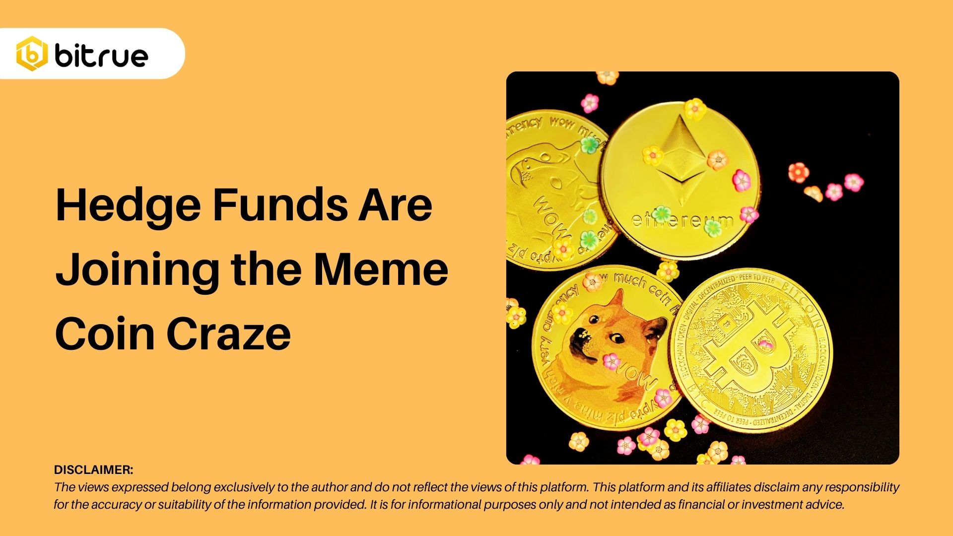 Hedge Funds Are Joining the Meme Coin Craze – Bitrue FAQ