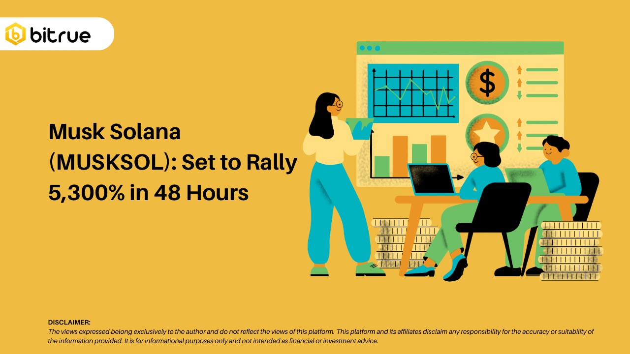 Musk Solana (MUSKSOL): Set to Rally 5,300% in 48 Hours – Bitrue FAQ