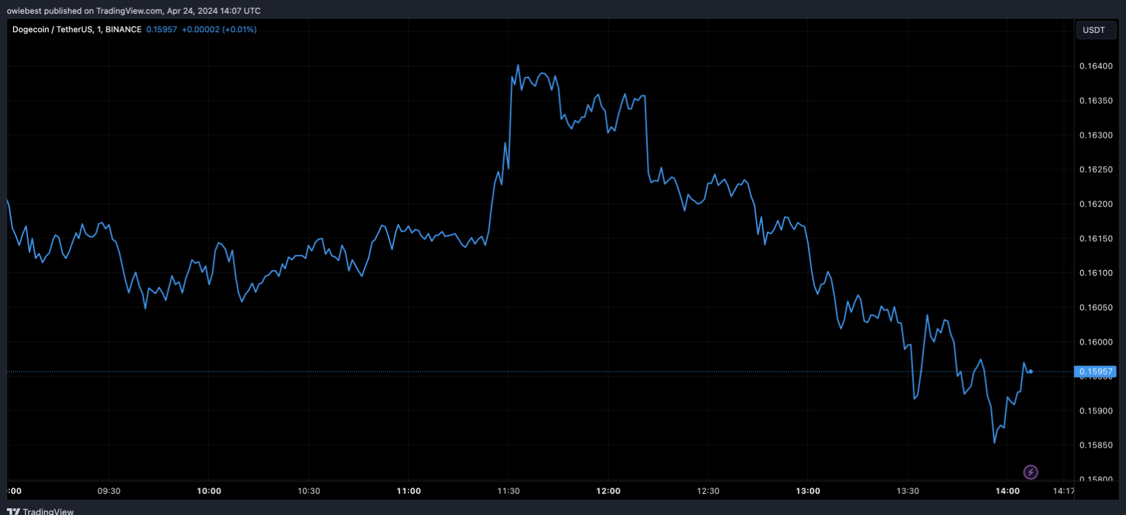 Will Dogecoin Reach the $1 Price Mark? – Bitrue FAQ