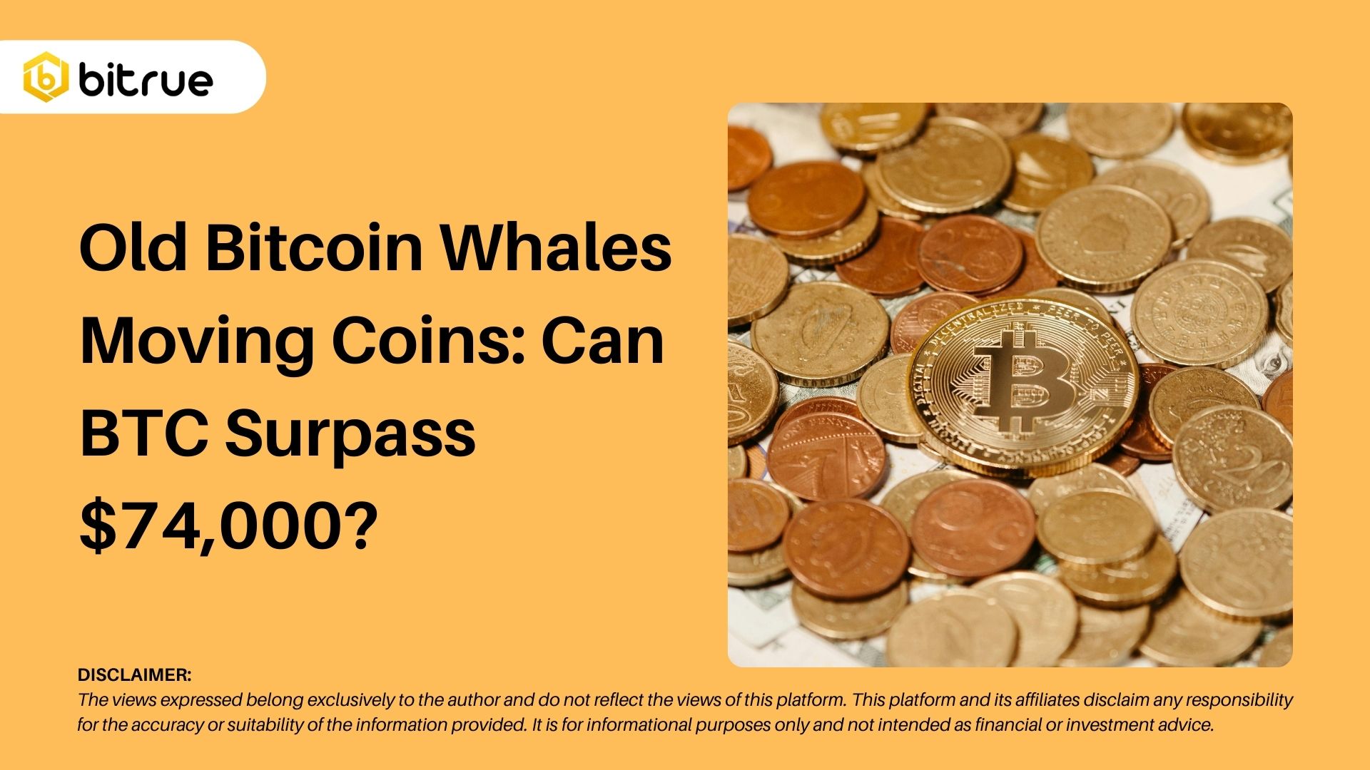 Old Bitcoin Whales Moving Coins: Can BTC Surpass $74,000? – Bitrue FAQ