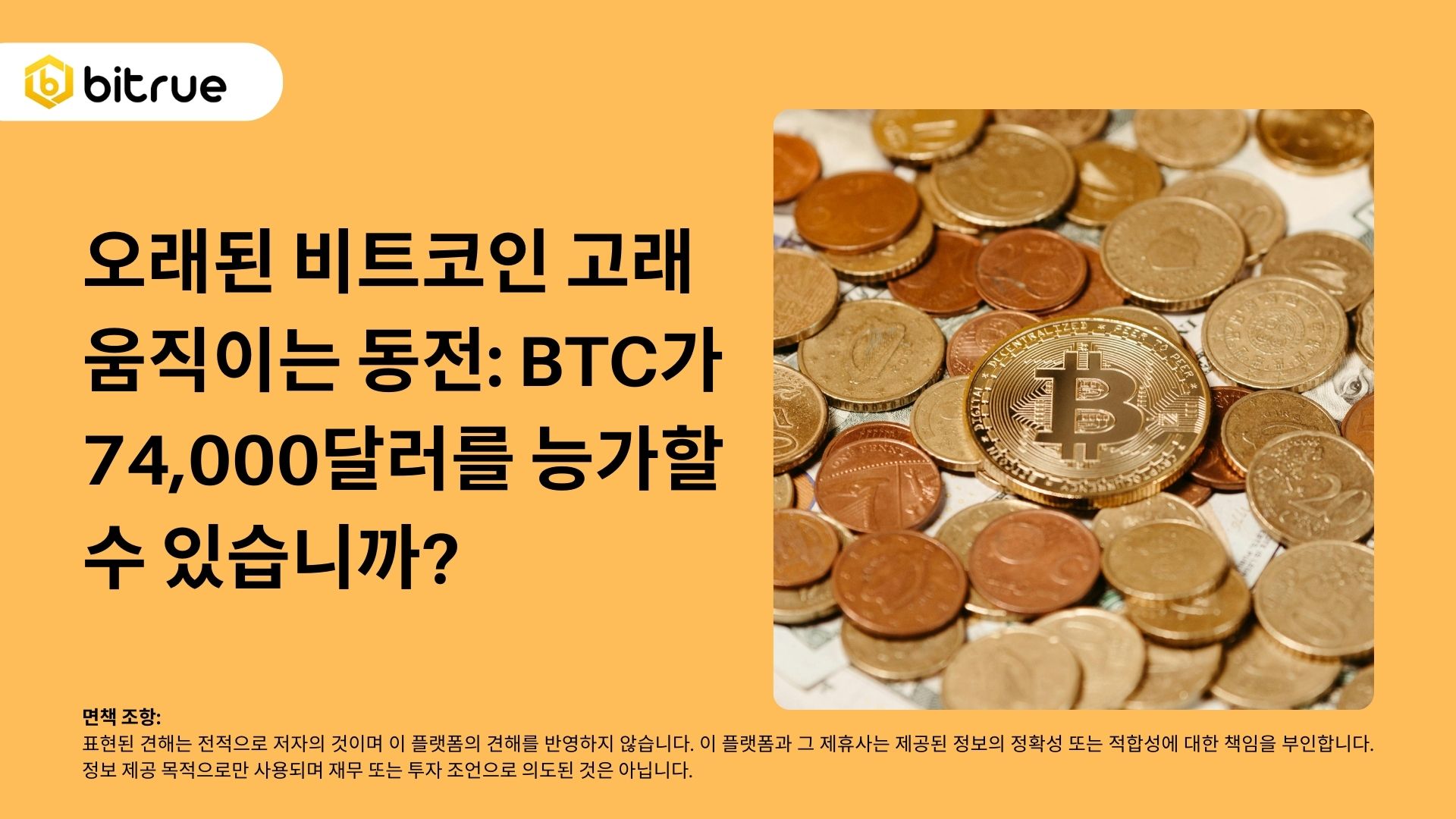 오래된 비트코인 ​​고래 움직이는 동전: BTC가 74,000달러를 능가할 수 있습니까? – Bitrue FAQ