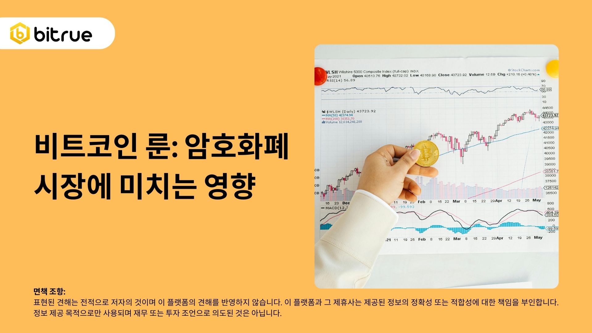 비트코인 룬: 암호화폐 시장에 미치는 영향 – Bitrue FAQ