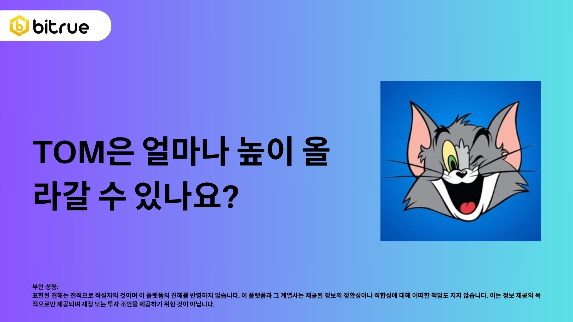 TOM은 어디까지 상승할까요? – Bitrue FAQ