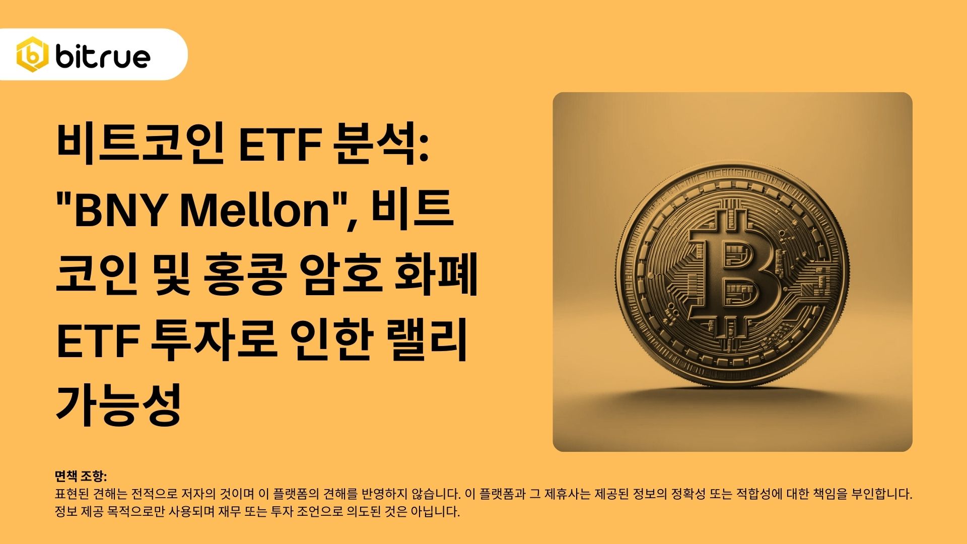 비트코인 ETF 분석: 