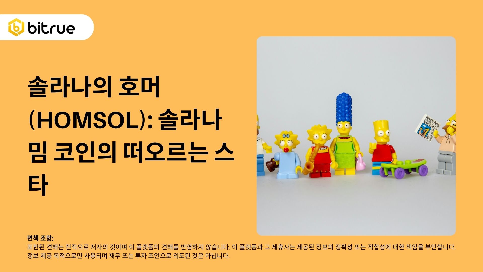 솔라나의 호머(HOMSOL): 솔라나 밈 코인의 떠오르는 스타 – Bitrue FAQ